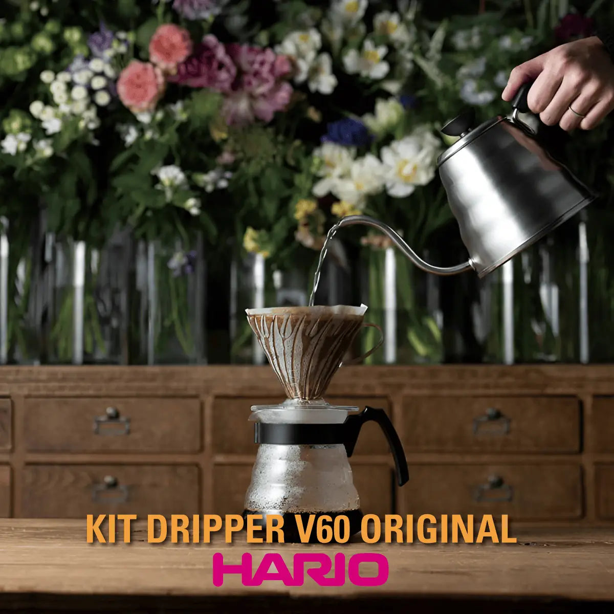 Kit Dripper V60 Hario