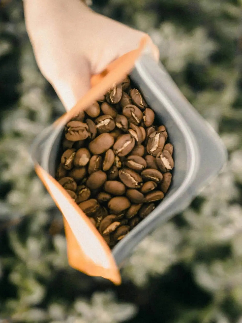 Chico mostrando una bolsa de cafe en grano