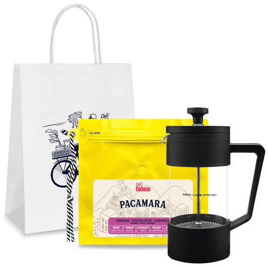 Primula Express French Press Kit